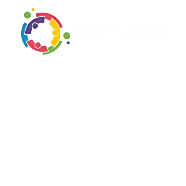 Logo Netcom SA - Expert en numérique responsable